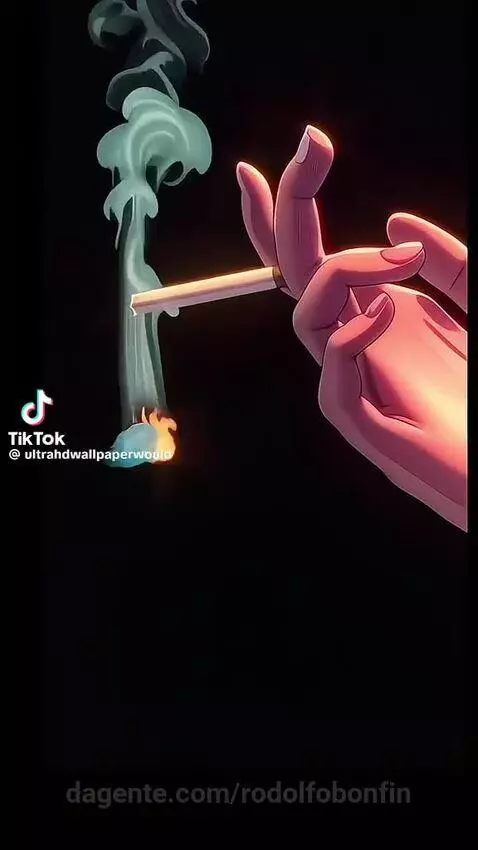 Video by rodolfobonfin