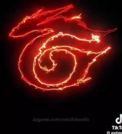 Video by rodolfobonfin