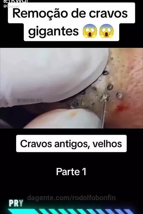 Video by rodolfobonfin
