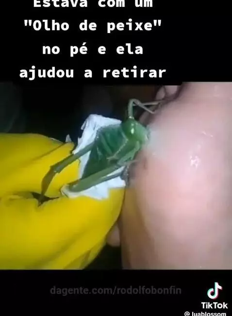 Video by rodolfobonfin