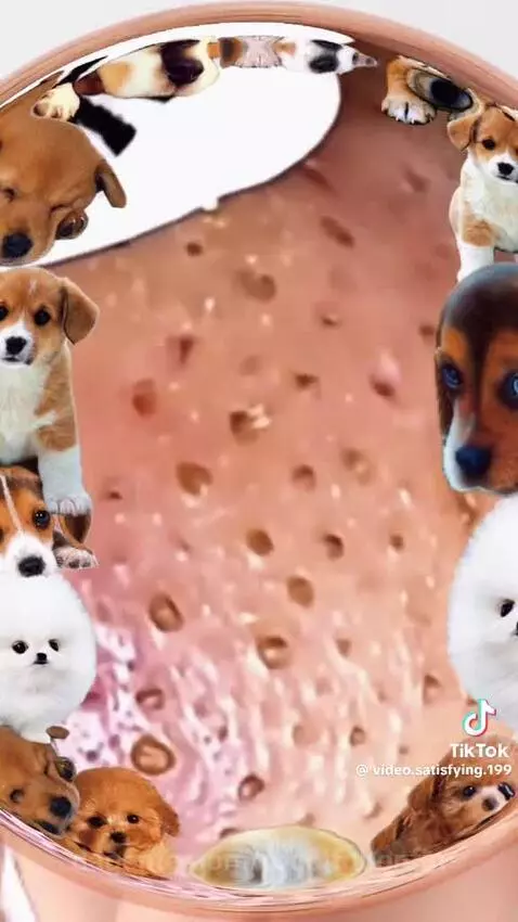 Video by rodolfobonfin