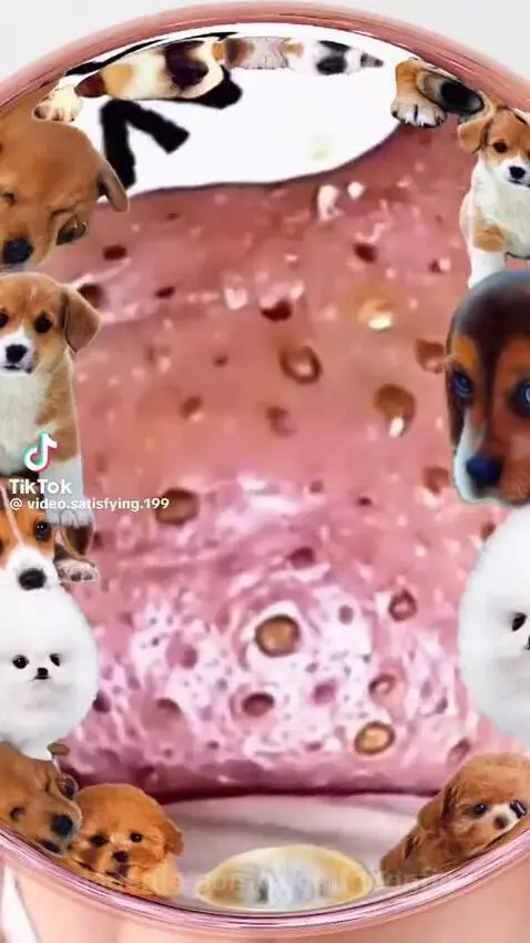 video poster