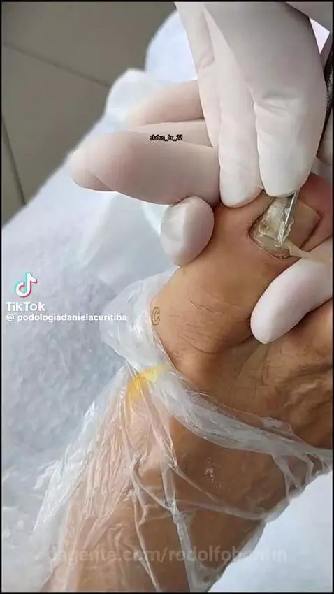 Video by rodolfobonfin