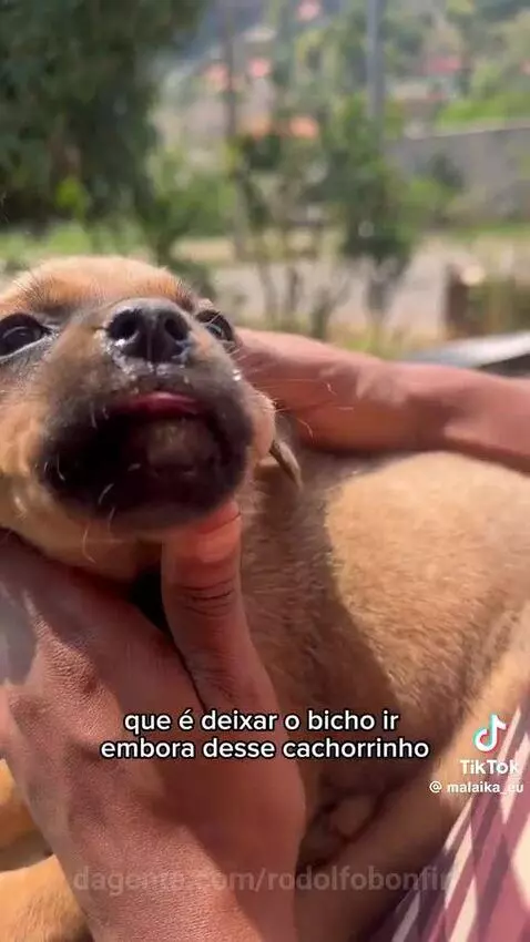 Video by rodolfobonfin