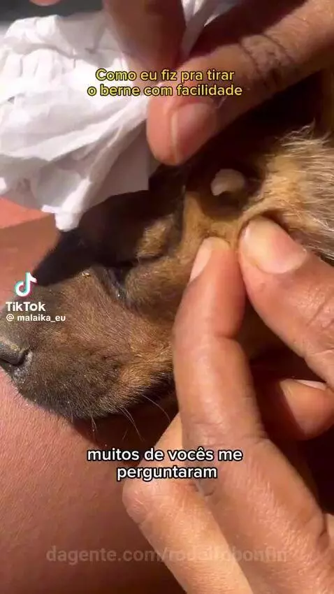 video poster