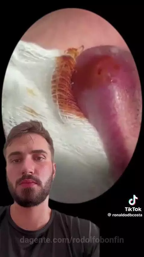Video by rodolfobonfin