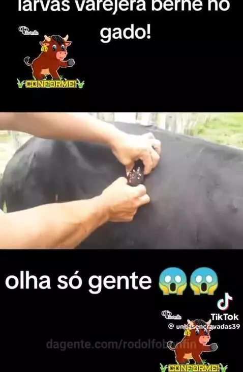 Video by rodolfobonfin