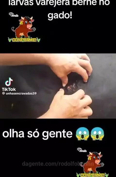 video poster