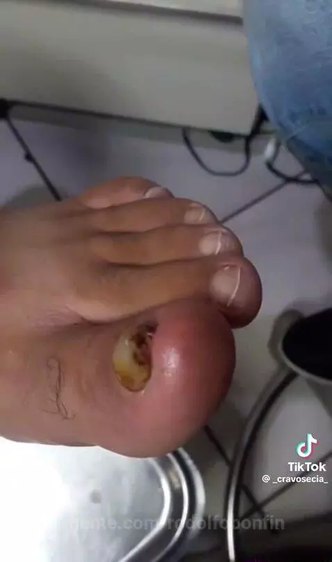 Video by rodolfobonfin