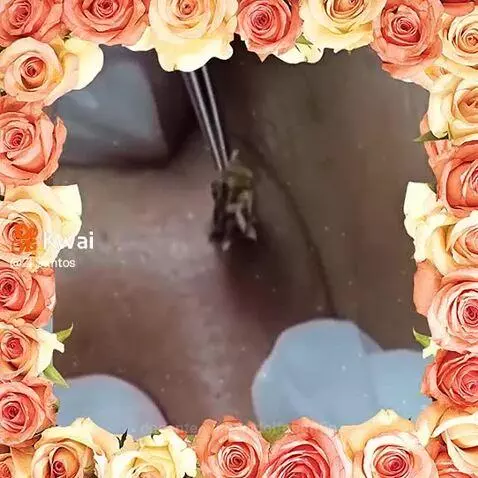 Video by rodolfobonfin