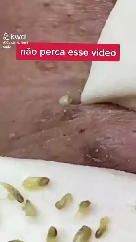 Video by rodolfobonfin
