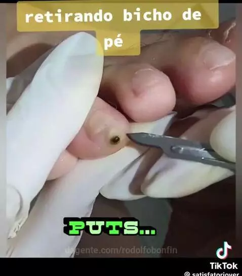 Video by rodolfobonfin