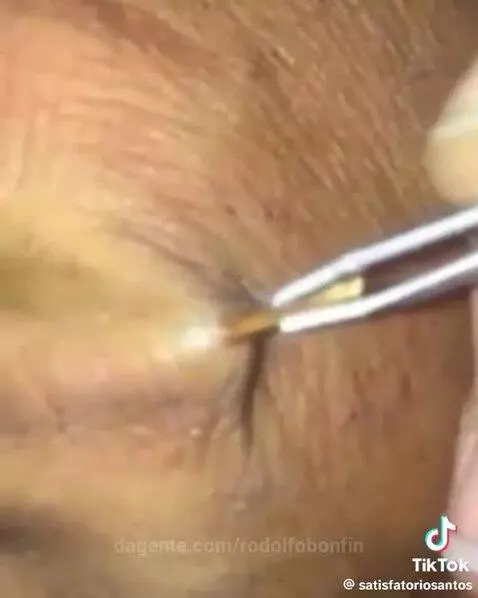 Video by rodolfobonfin