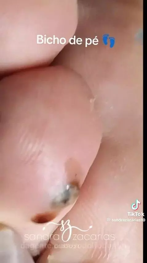 Video by rodolfobonfin