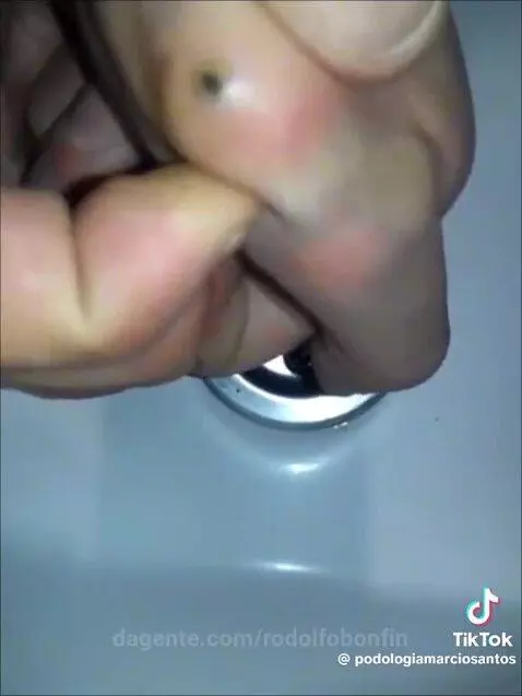 Video by rodolfobonfin