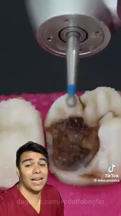 Video by rodolfobonfin