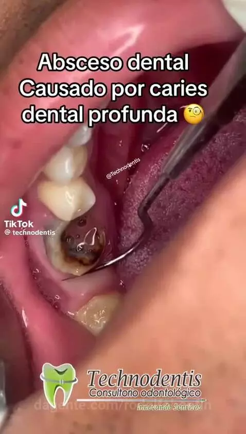 Video by rodolfobonfin