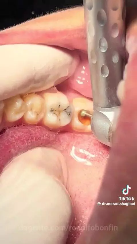 Video by rodolfobonfin