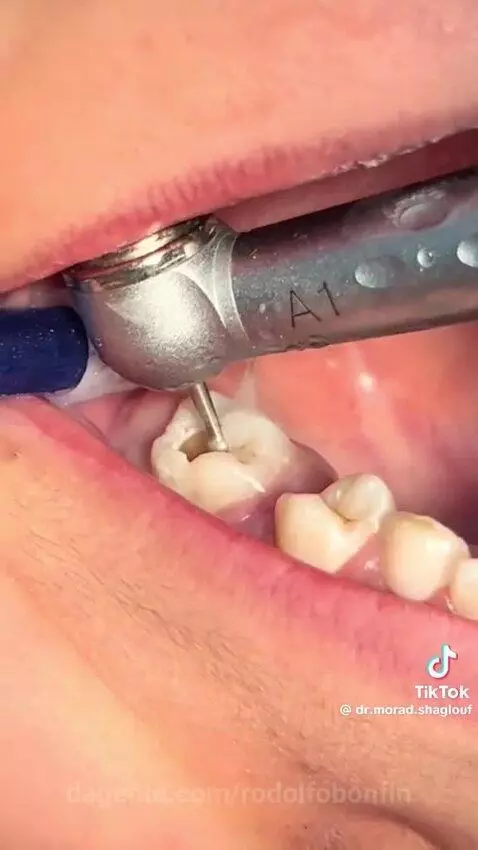 Video by rodolfobonfin