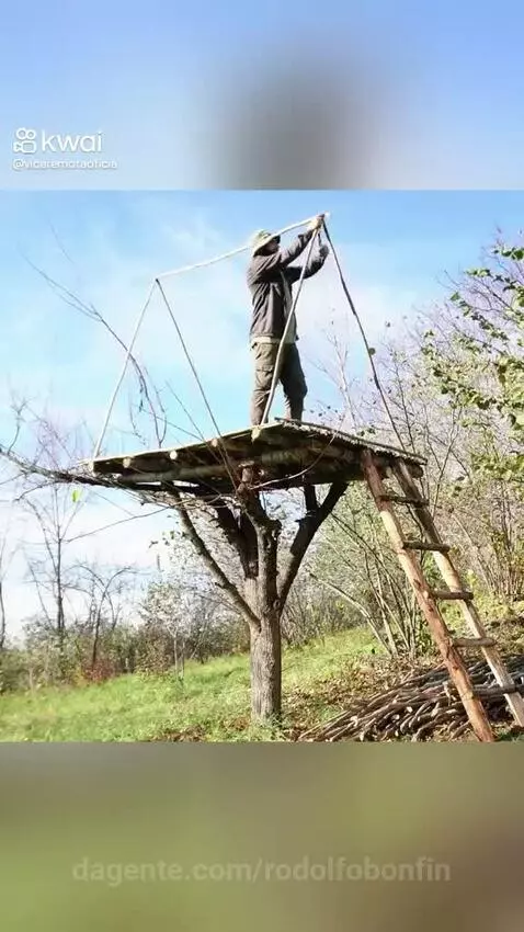 Video by rodolfobonfin