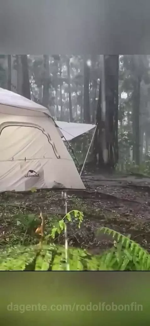 Video by rodolfobonfin