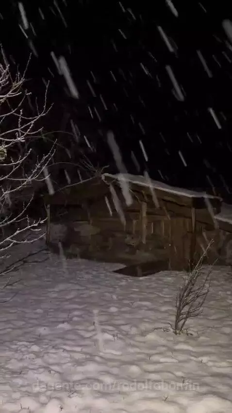 Video by rodolfobonfin