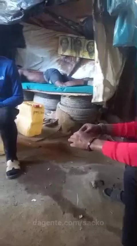 Prévia da publicação de sacko