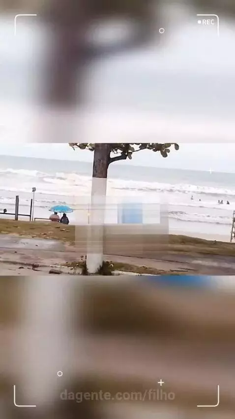 Prévia da publicação de filho