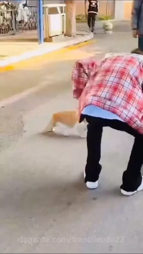 Video by francileudo23