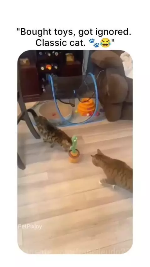 Video by francileudo23