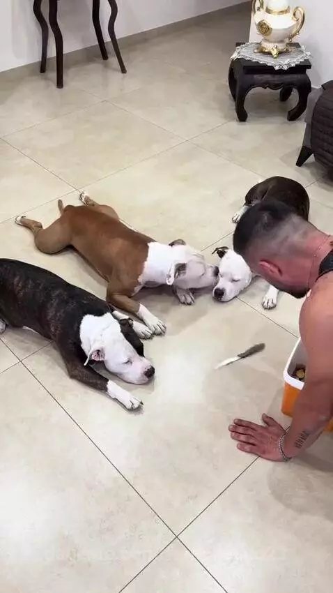 Video by francileudo23