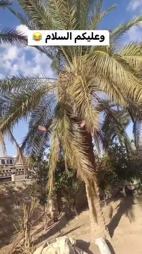 Video by francileudo23