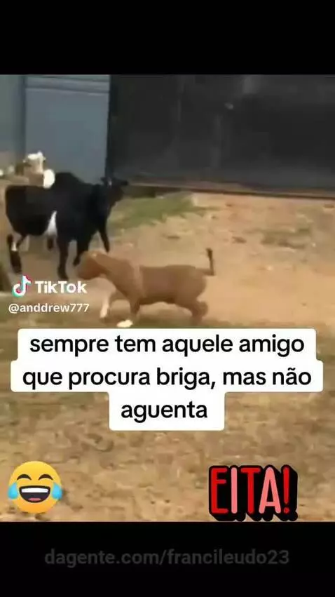 Video by francileudo23