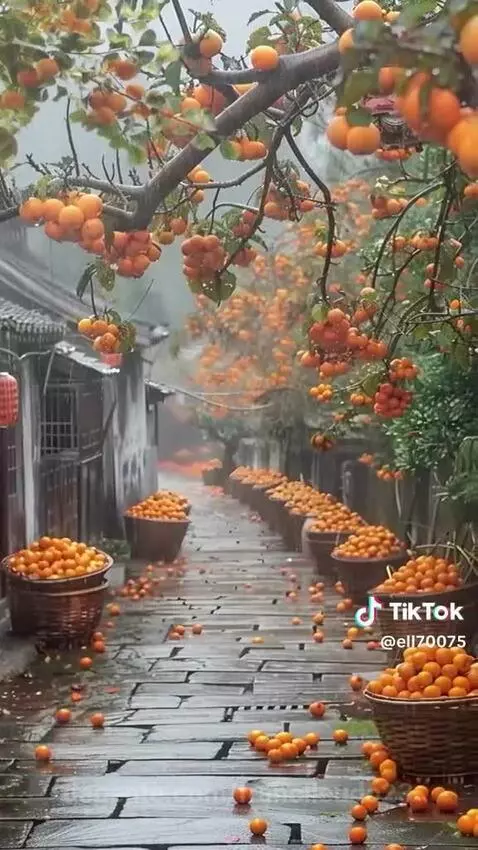 Video by francileudo23