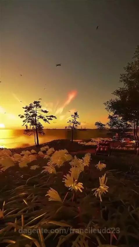 Video by francileudo23