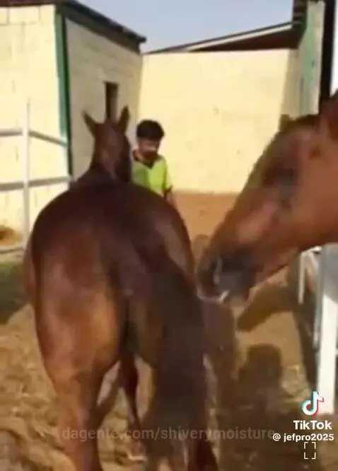 Video by shiverymoisture