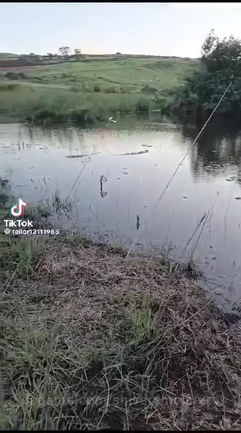 Video by shiverymoisture