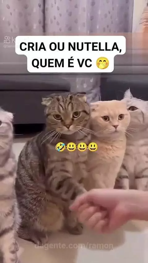 Prévia da publicação de ramon