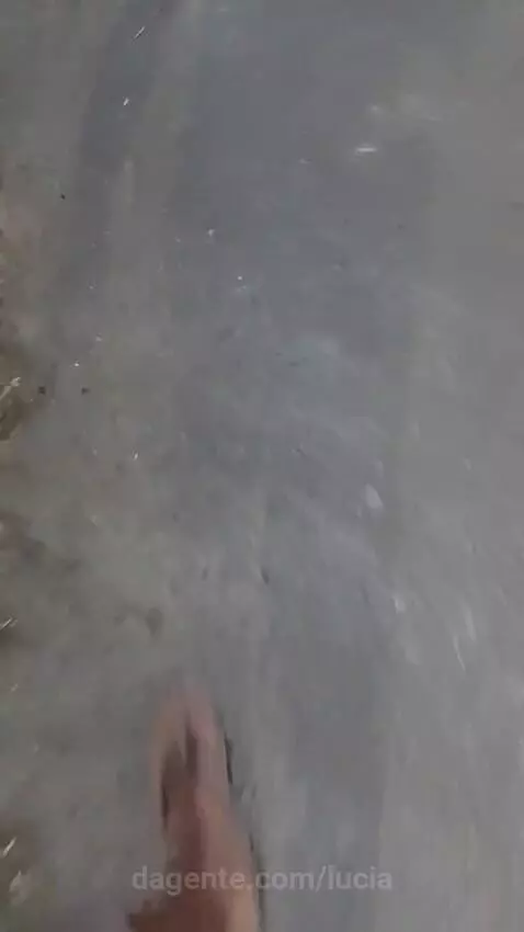 Video by lucia