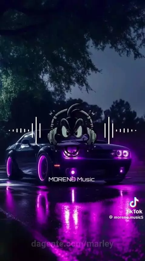 Video by marley