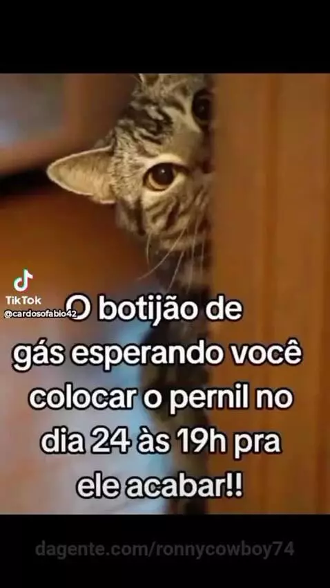 humoranimal, akegria by ronnycowboy74