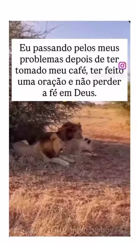 videoviral, f, coragem by ronnycowboy74