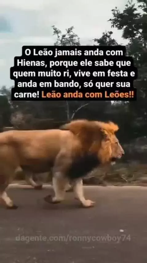 Prévia da publicação de ronnycowboy74
