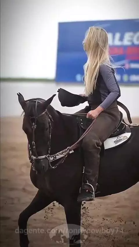 Prévia da publicação de ronnycowboy74