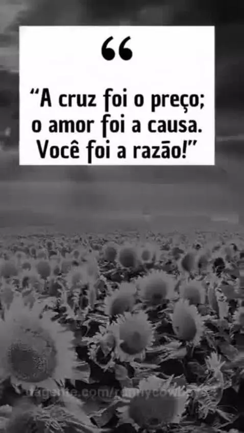 Prévia da publicação de ronnycowboy74