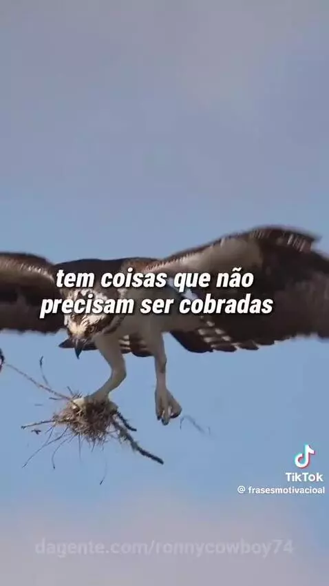 Prévia da publicação de ronnycowboy74