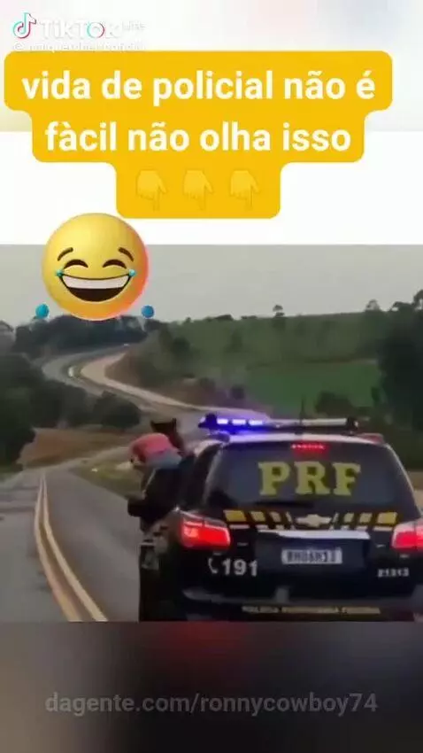 Prévia da publicação de ronnycowboy74