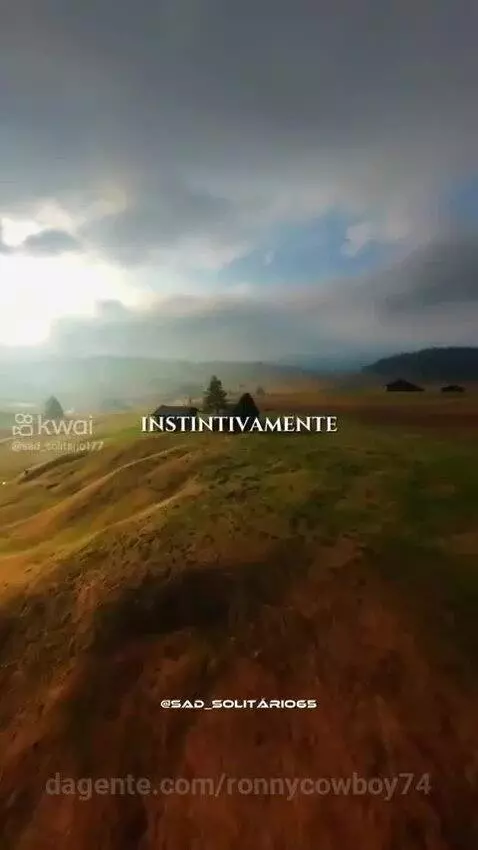 Prévia da publicação de ronnycowboy74