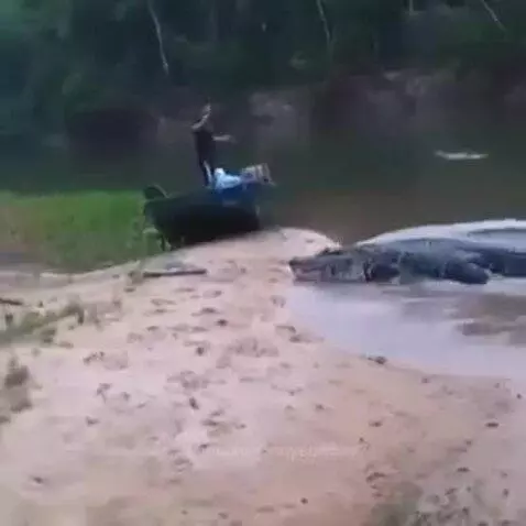Prévia da publicação de ronnycowboy74