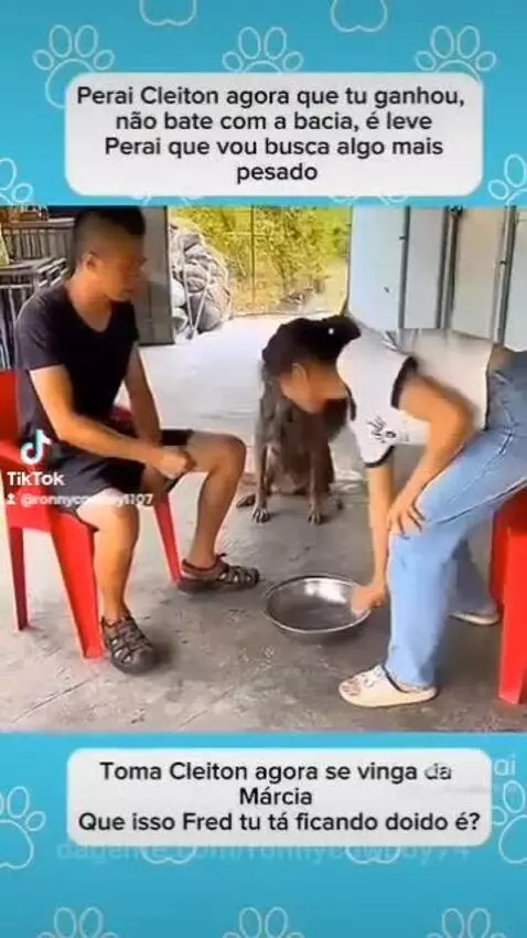 Prévia da publicação de ronnycowboy74